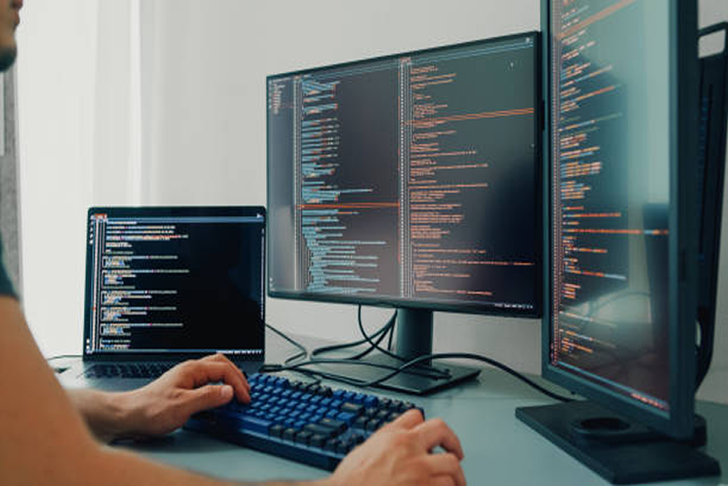 Web Development